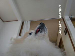 8f928f87.jpeg