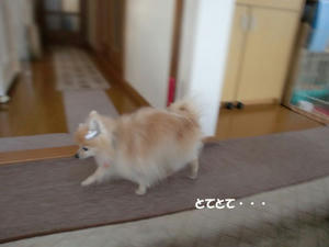 8222d363.jpeg