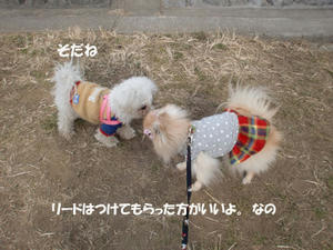 8403afe8.jpeg