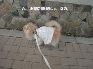 25789d7d.jpeg