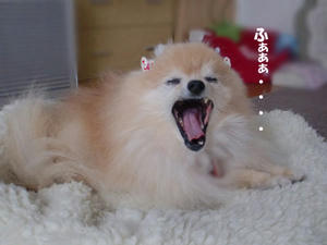 24719334.jpeg