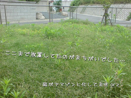 これは酷い…