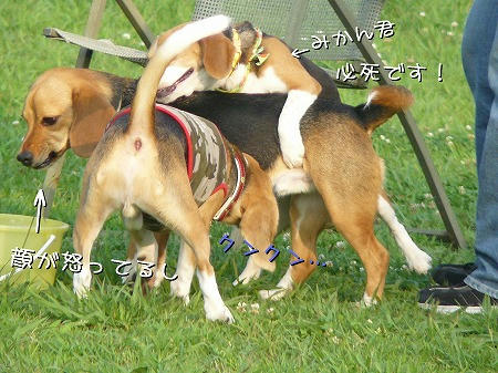 顔が怖い・・・