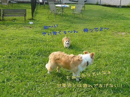 ②
