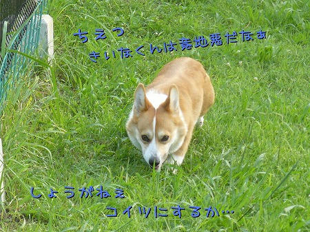 ③