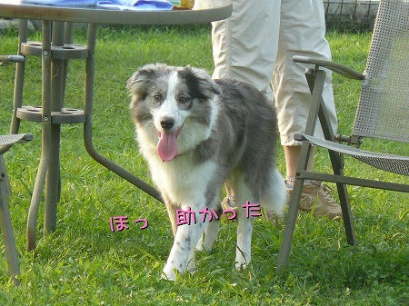 ⑦