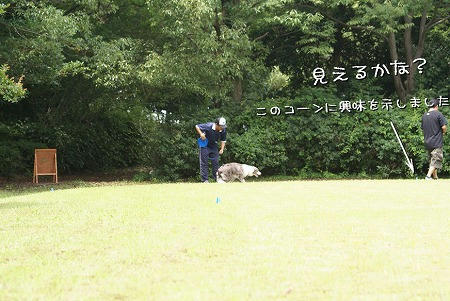 こらぁ！何処行くんじゃぁ！！