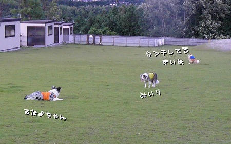 お嬢2人は何してるんですかね