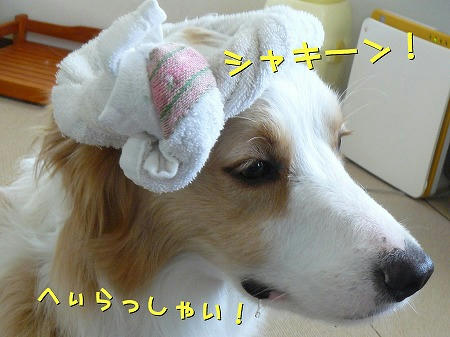 何するつもり？？