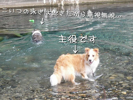 みいりは勝手に泳いでてください