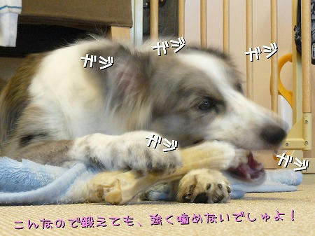 なにか良い手はないものか・・・