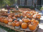IMG_3547.JPG