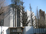 k01.JPG