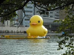 DSCF9177.jpg