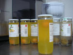 DSC01152.JPG