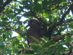 DSC01154.JPG