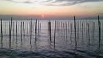 DVC00001.JPG