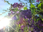 DSC01180.JPG