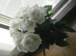 DSC01823.JPG