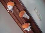 DSC01951.JPG