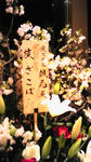 DVC00015.JPG