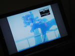 DSC02295.JPG