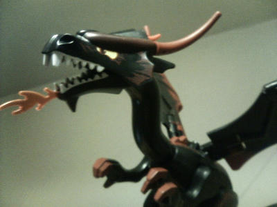 ブラックドラゴン