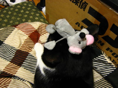 ジオンとネズミ