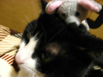 ジオンとネズミ