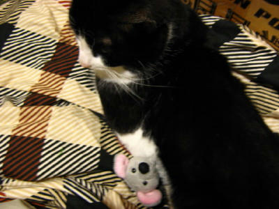 ジオンとネズミ