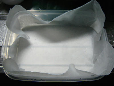 ガーナとヨーグルトのセミフレッド