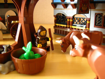 レゴ　キャッスル　中世のマーケットヴィレッジ　10193