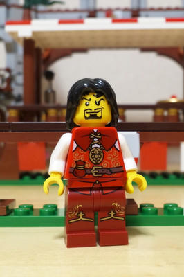 レゴキングダム馬上試合大会10223