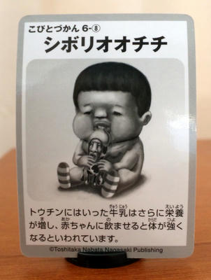 シボリオオチチ