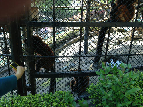 2013-05-03-16.08.22.jpg