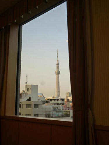 P1010238.jpg
