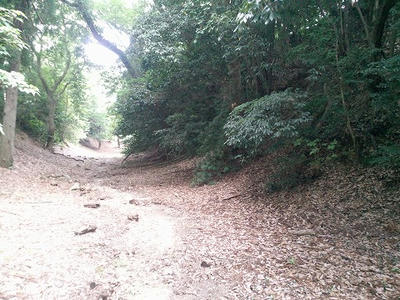 吉田城_内堀西