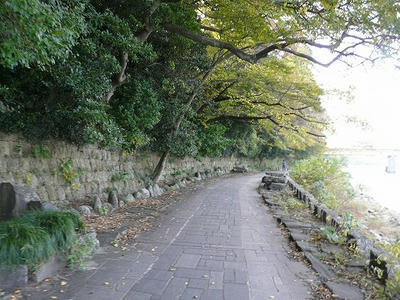 今橋遊歩道