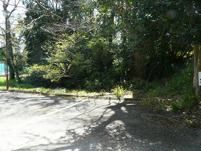 豊橋公園_三の丸土塁北