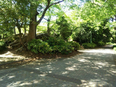 吉田城_二の丸裏門・土塁