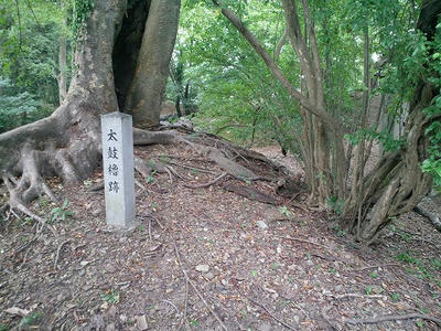吉田城址_太鼓櫓跡