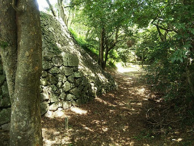 吉田城址_120200712