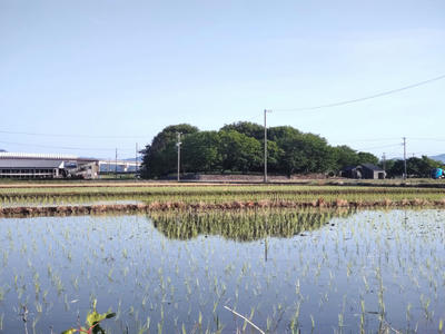 伊奈城趾公園