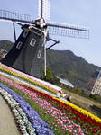 080316_1106.jpg