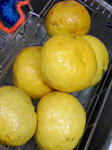 甘夏クンです。