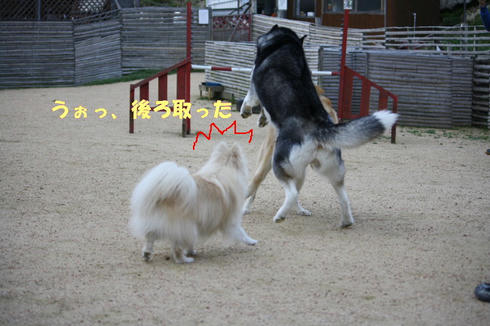 IMG_2777.JPG