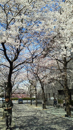 201104061017001.jpg