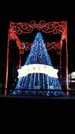 201112031848000.jpg