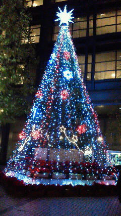 201112031850001.jpg