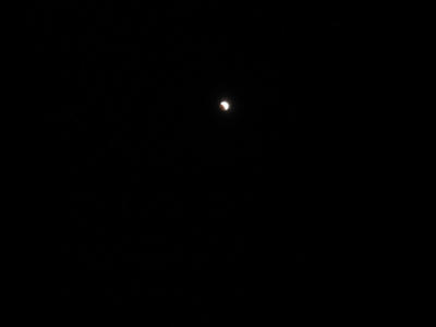 IMG_0745.jpg